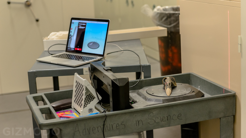 Illustration for article titled How The AMNH Is Using 3D Printing To Copy Dinosaur Bones